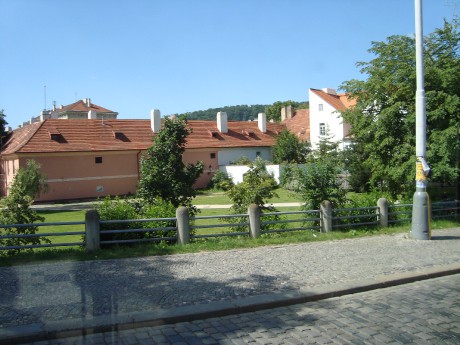 DSC06238.JPG