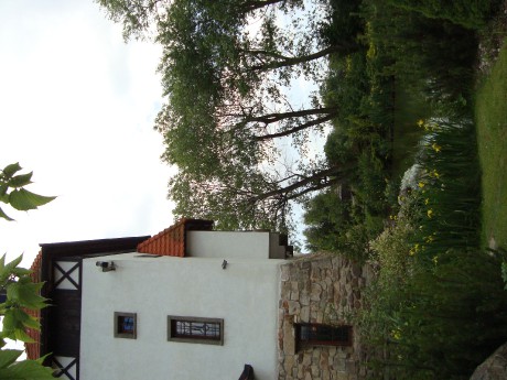 DSC06272.JPG