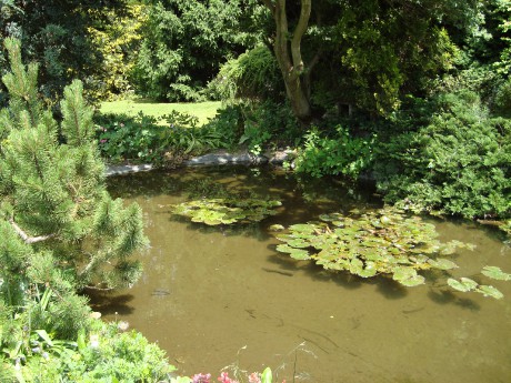 DSC06304.JPG