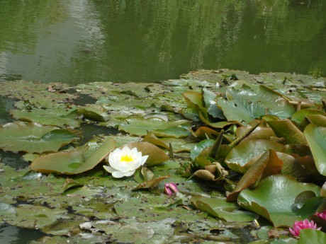 DSC06306.JPG