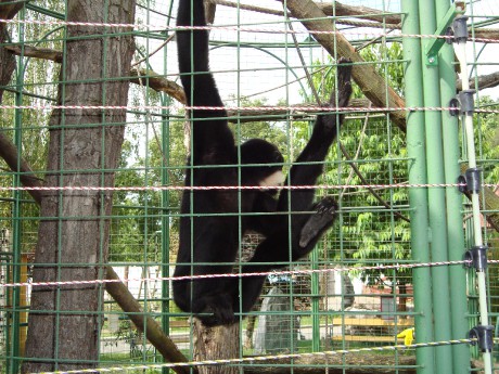 DSC00489.JPG