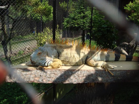 DSC00505.JPG