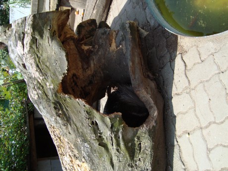 DSC00521.JPG