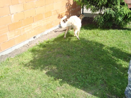 DSC00525.JPG