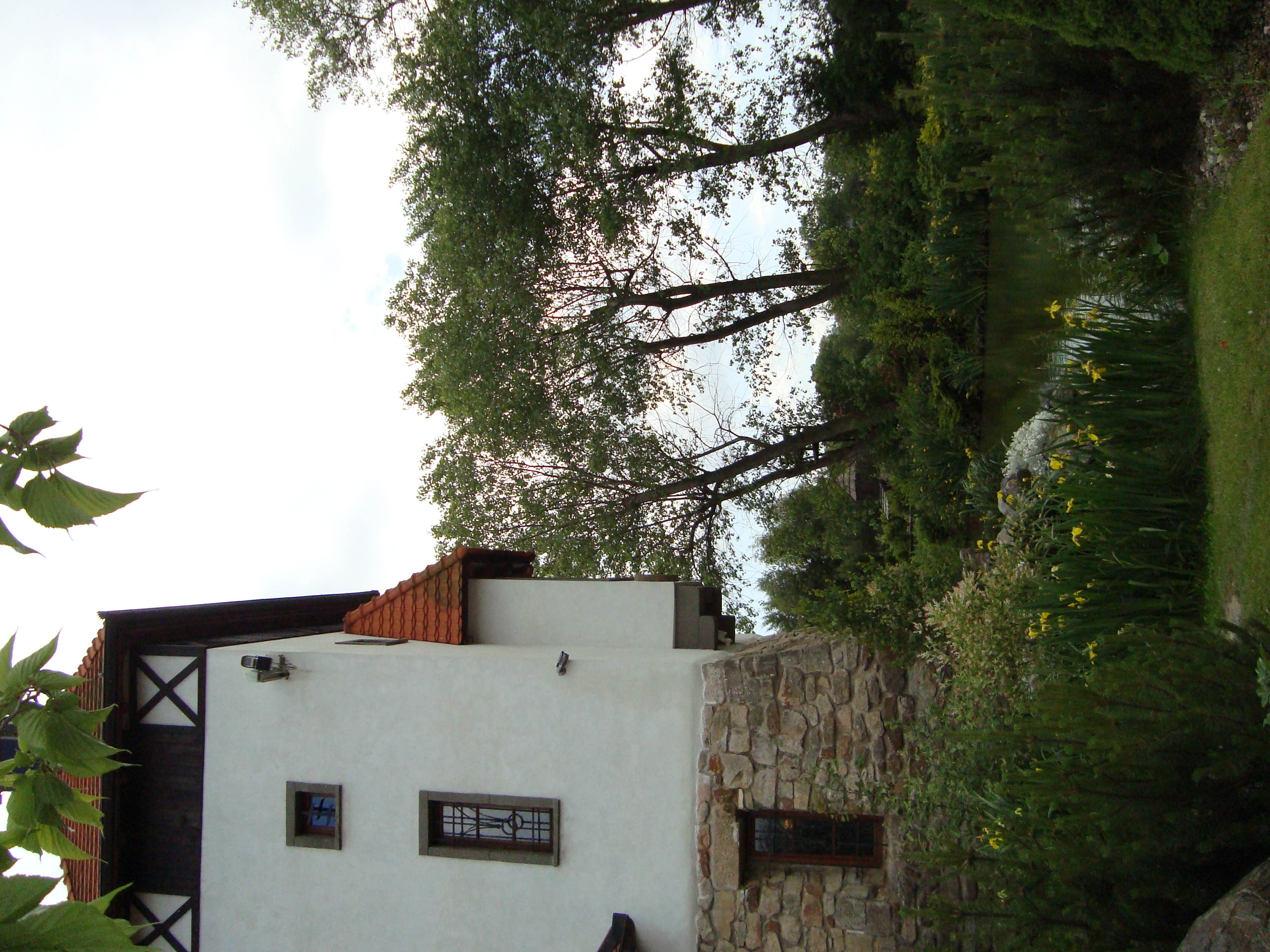 DSC06272.JPG