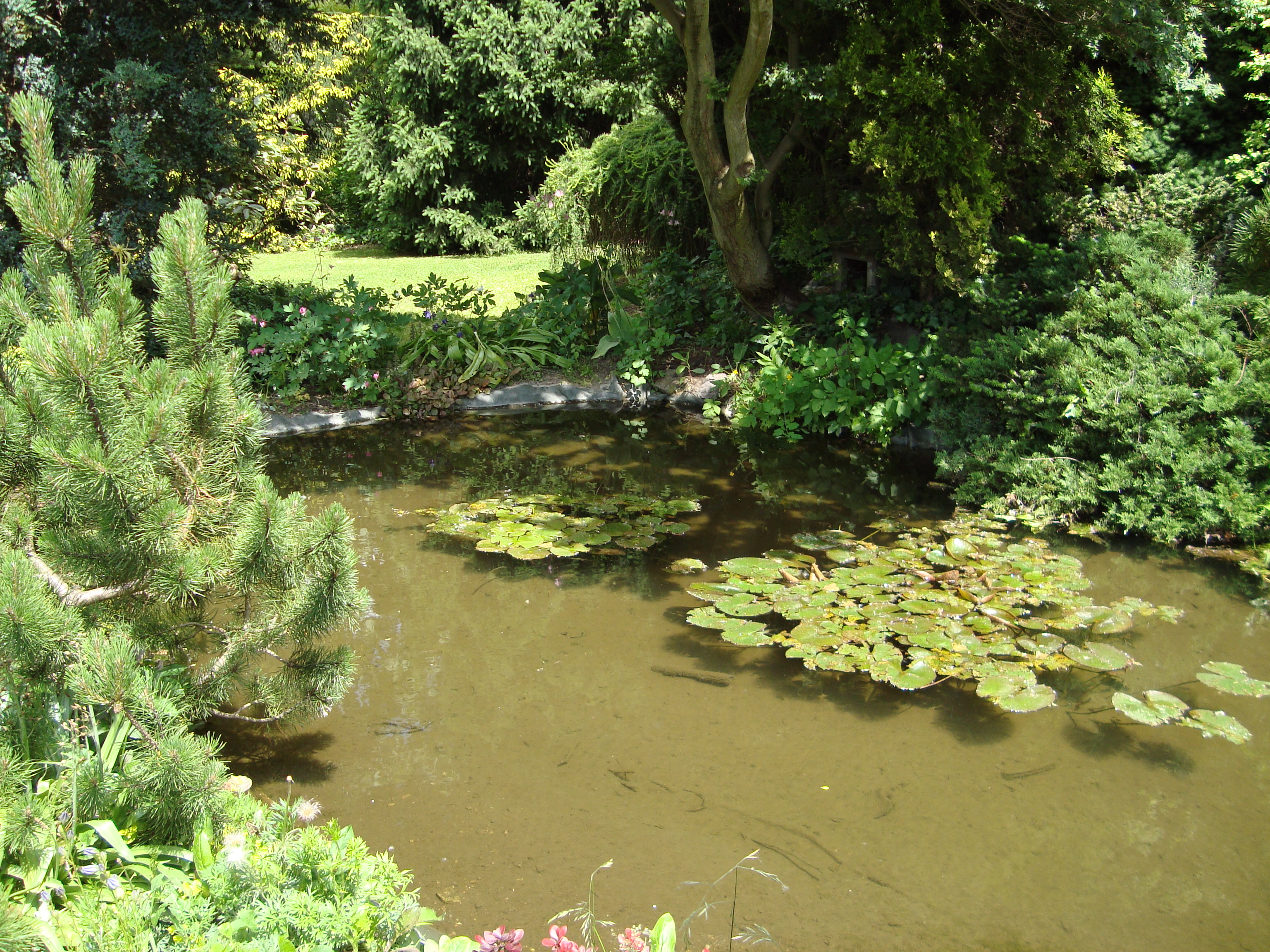 DSC06304.JPG