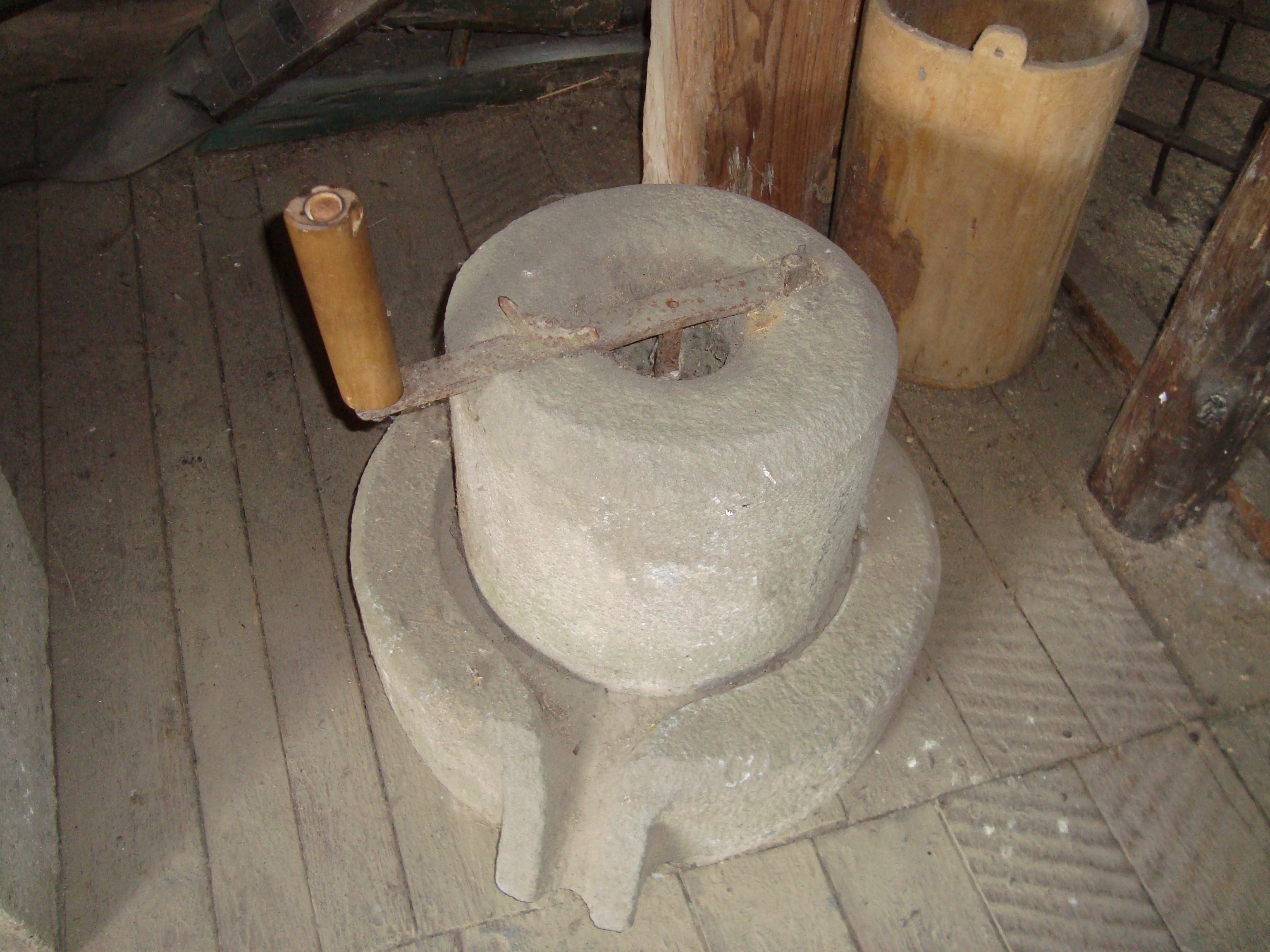 DSC06325.JPG
