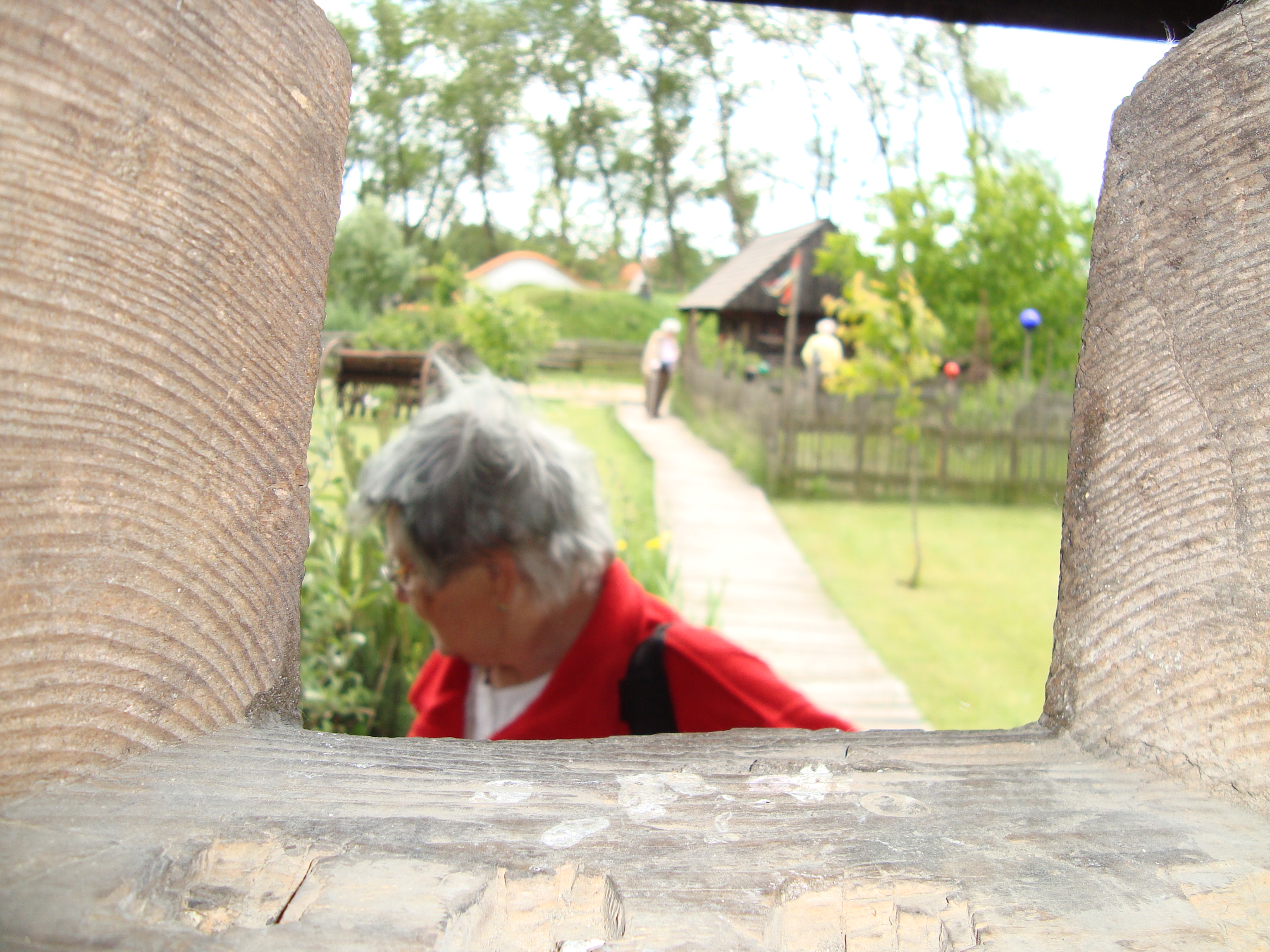 DSC06329.JPG