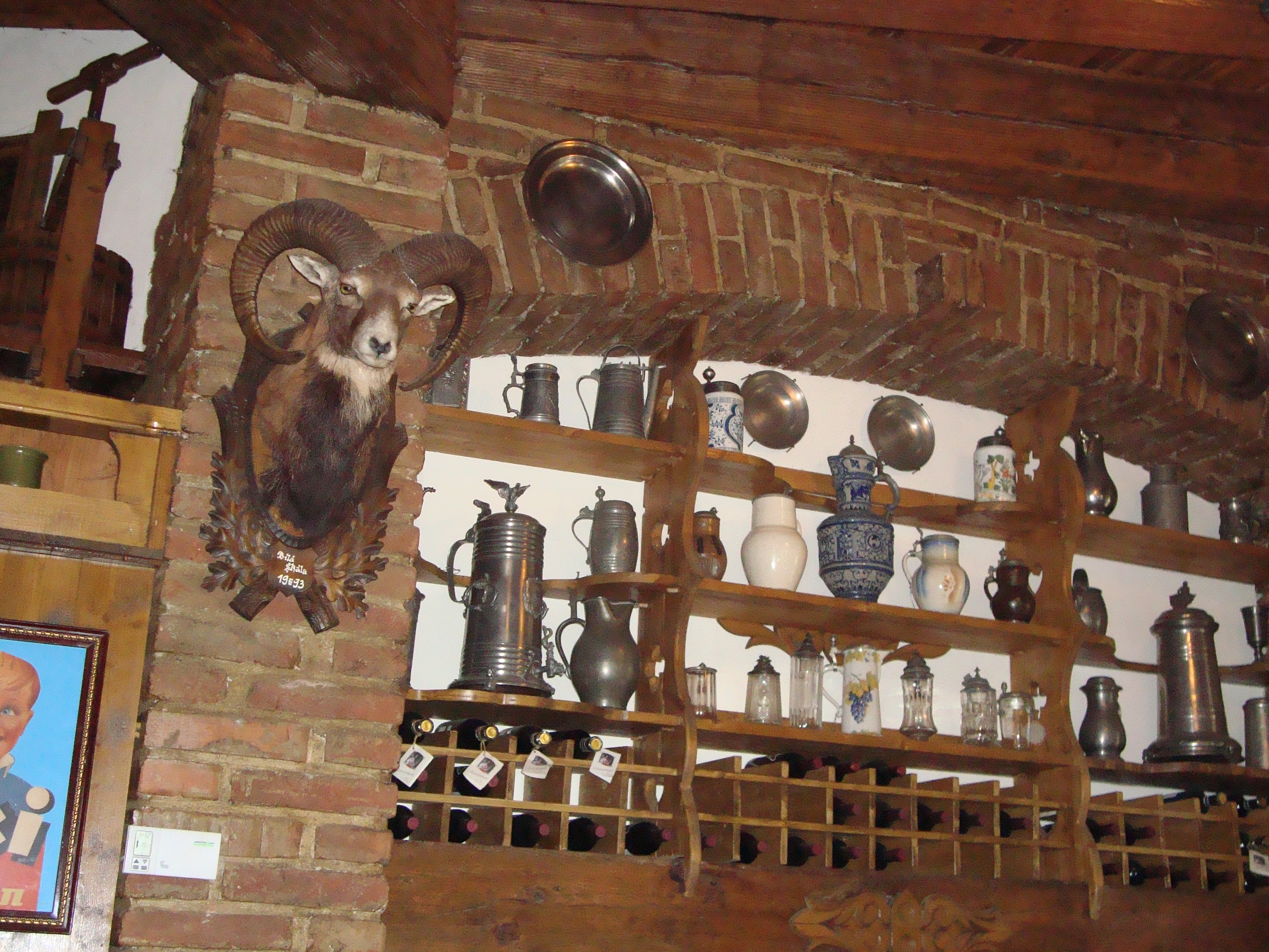 DSC06337.JPG