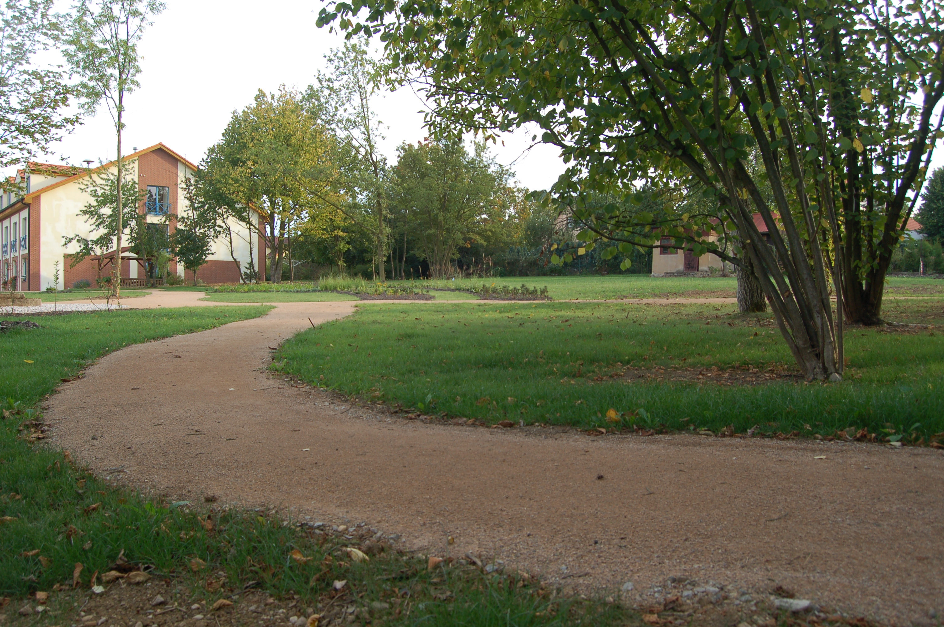 DSC_0412.JPG