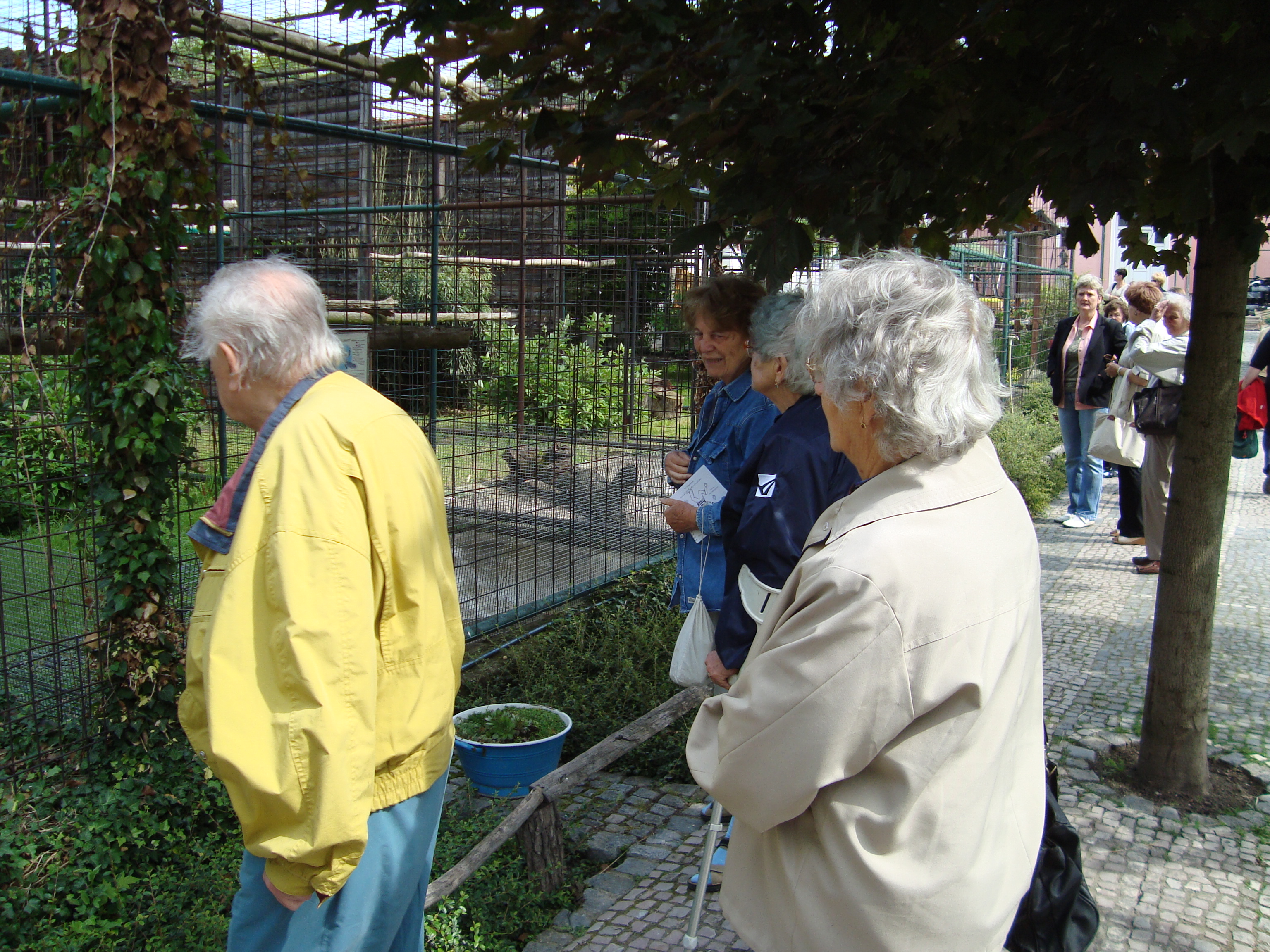 DSC00476.JPG