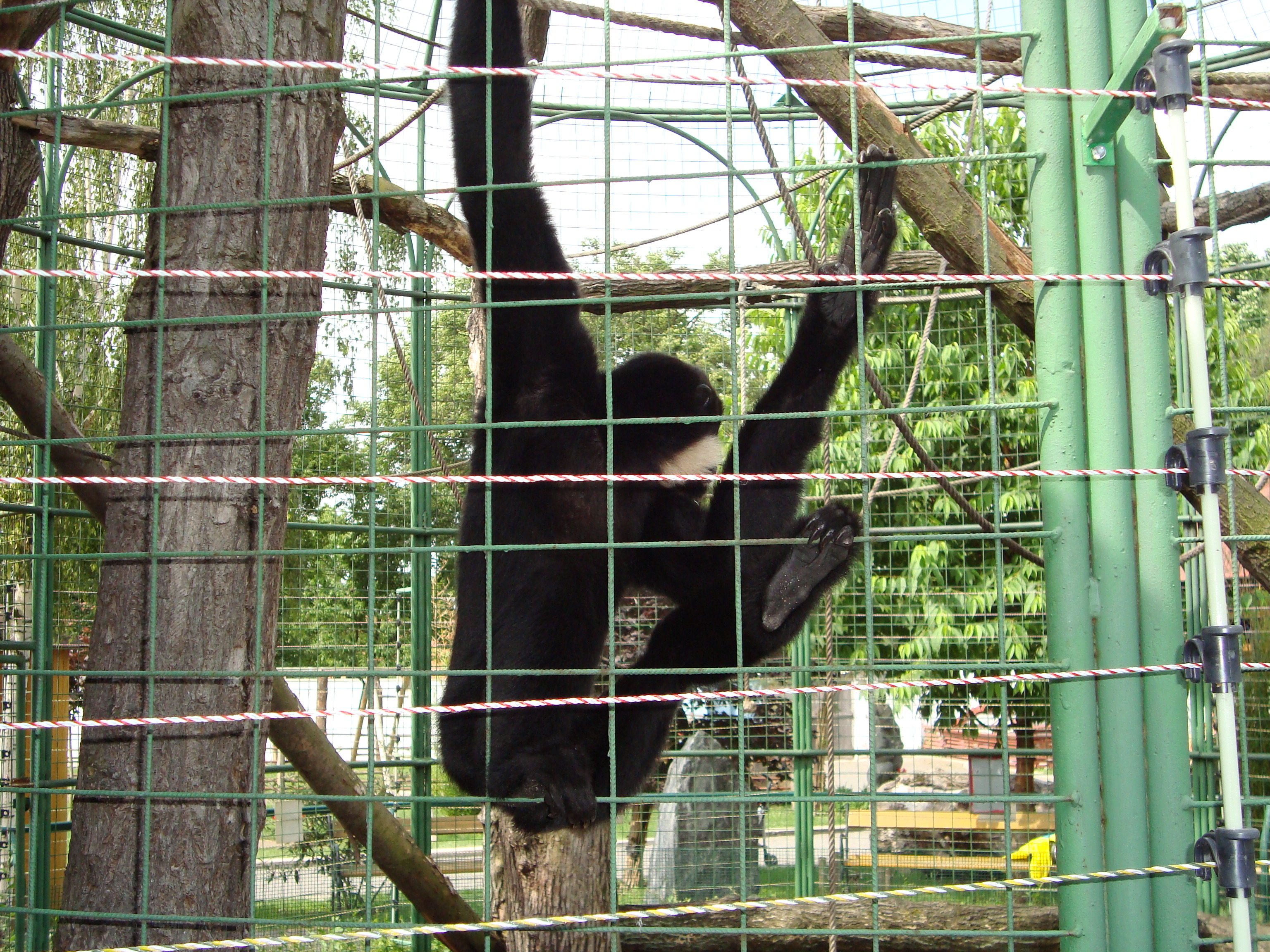 DSC00489.JPG