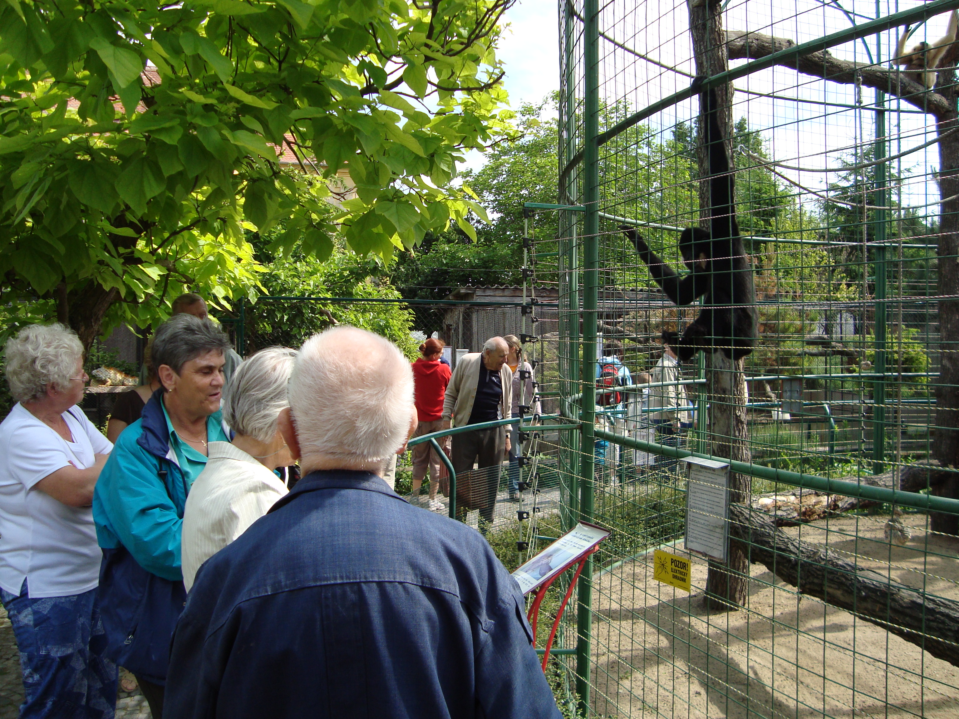 DSC00493.JPG