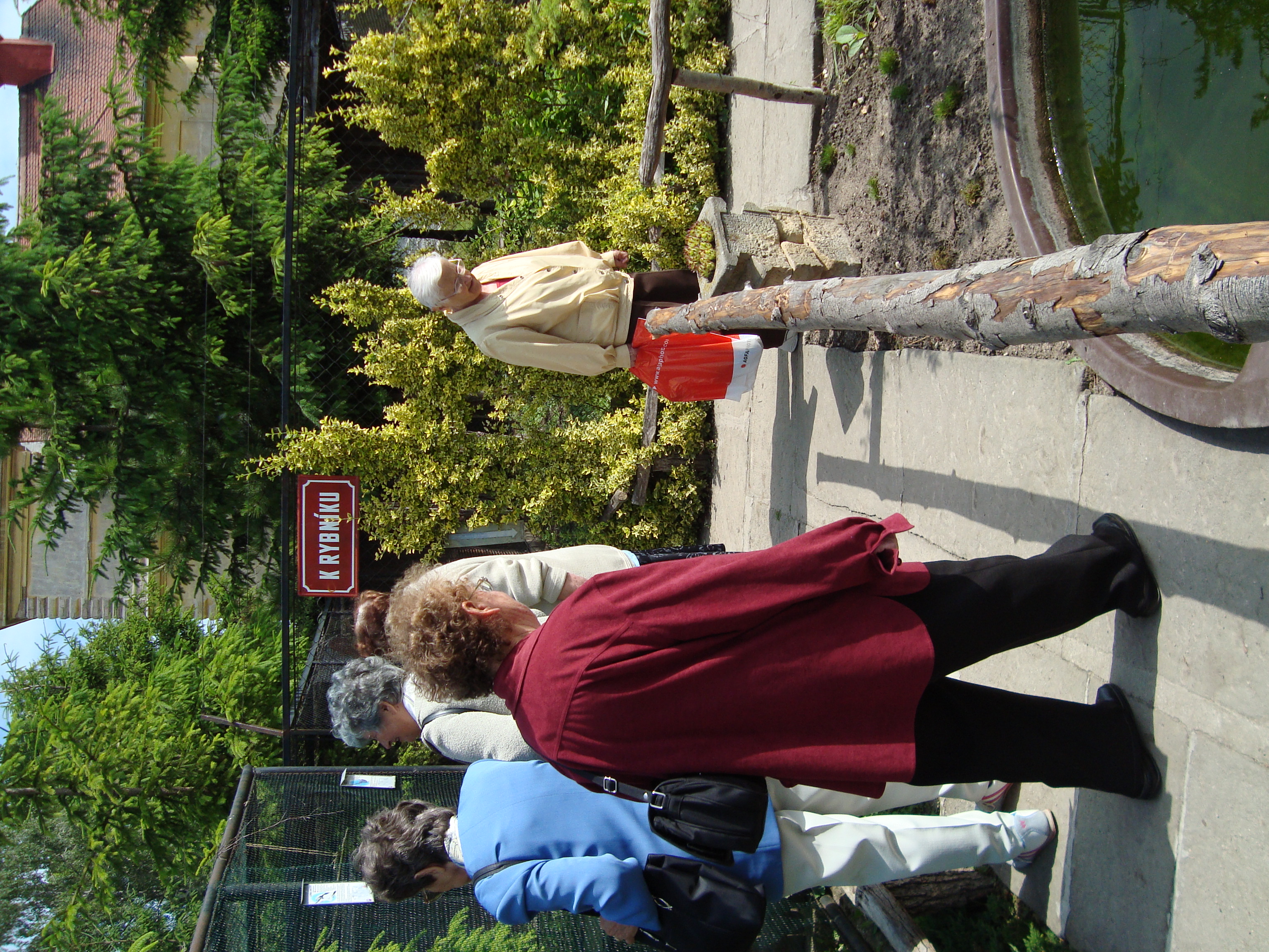 DSC00496.JPG