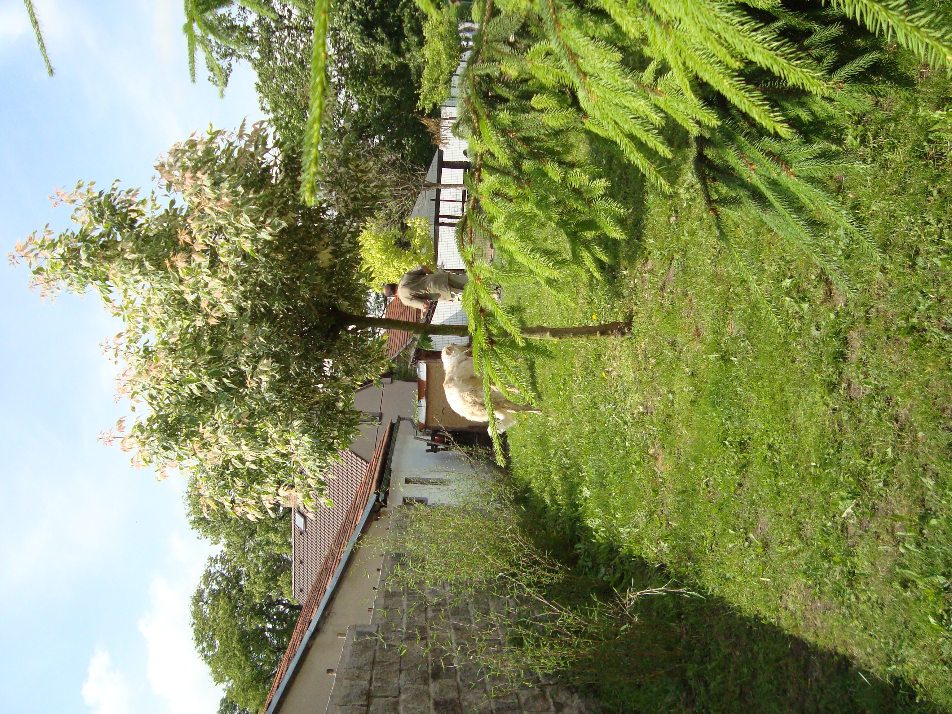 DSC00512.JPG