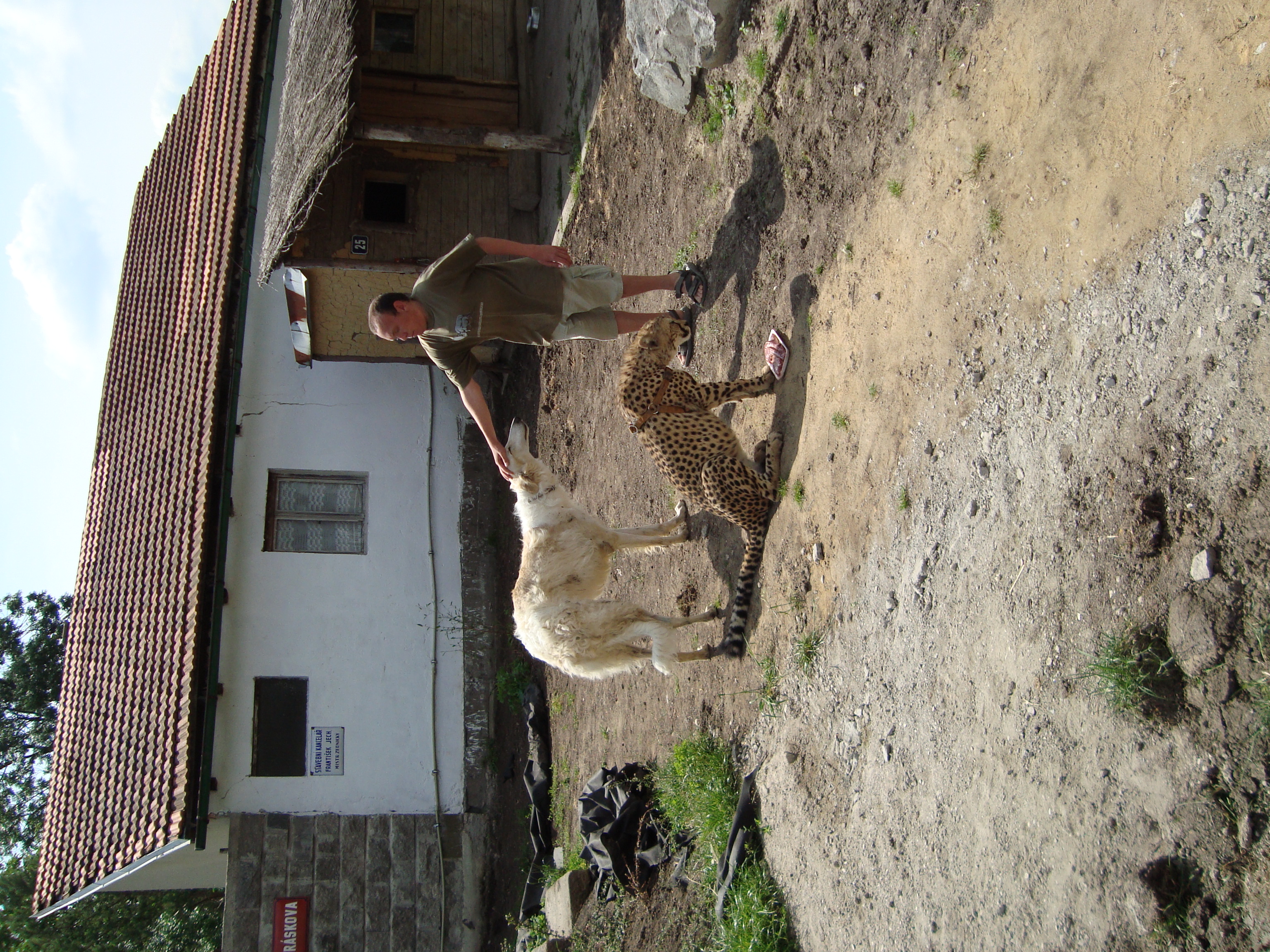 DSC00513.JPG