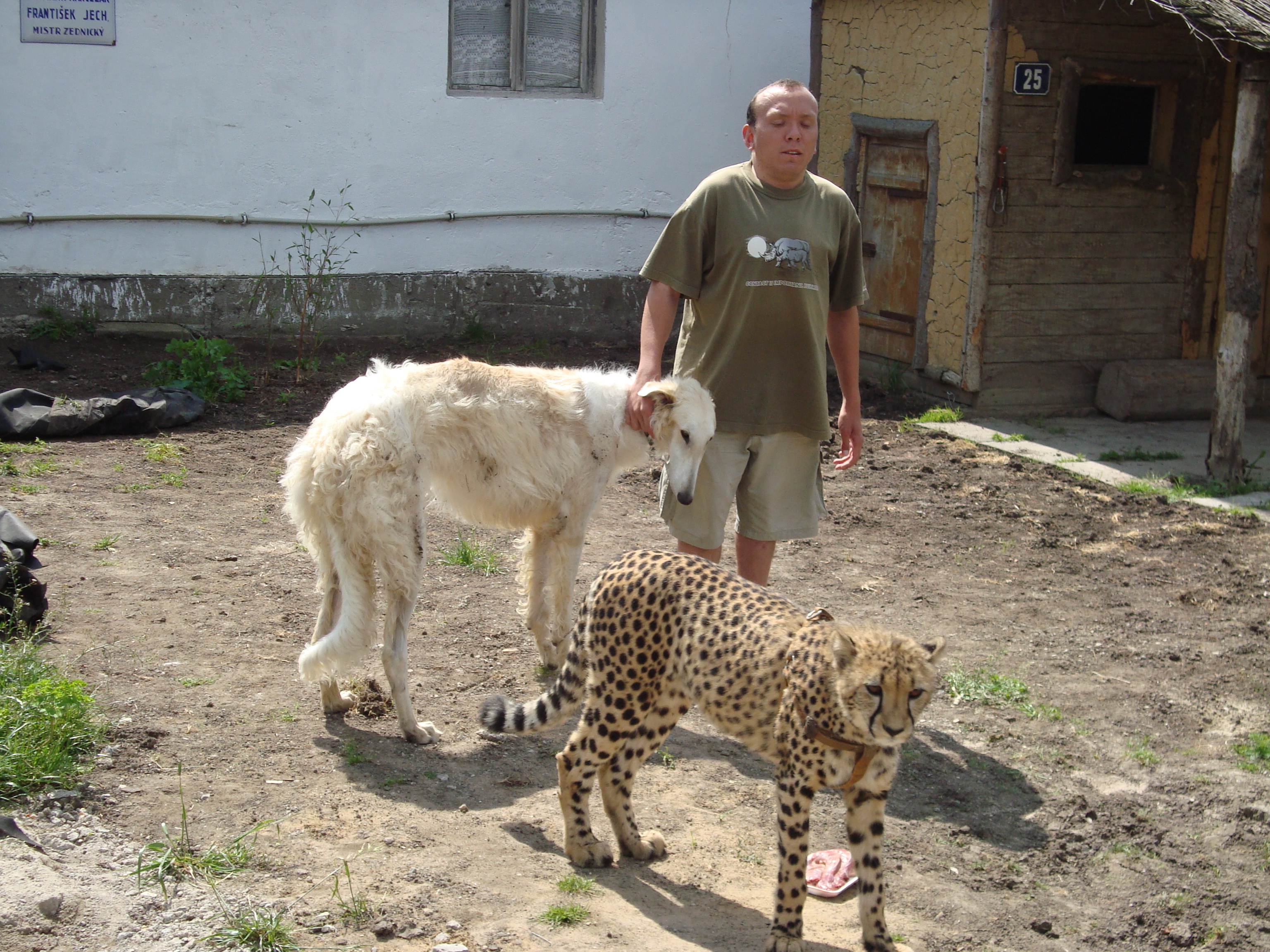 DSC00514.JPG