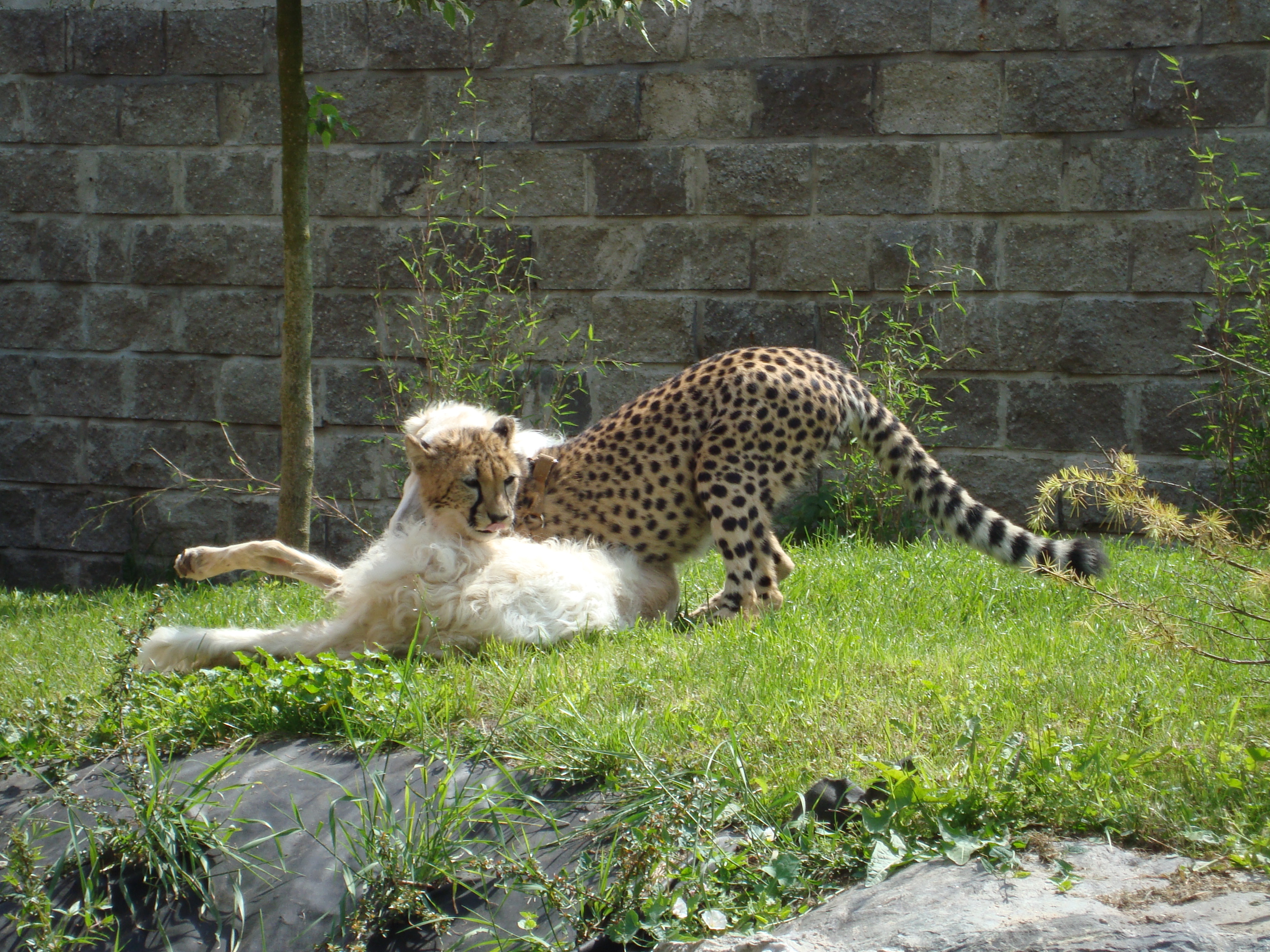 DSC00519.JPG