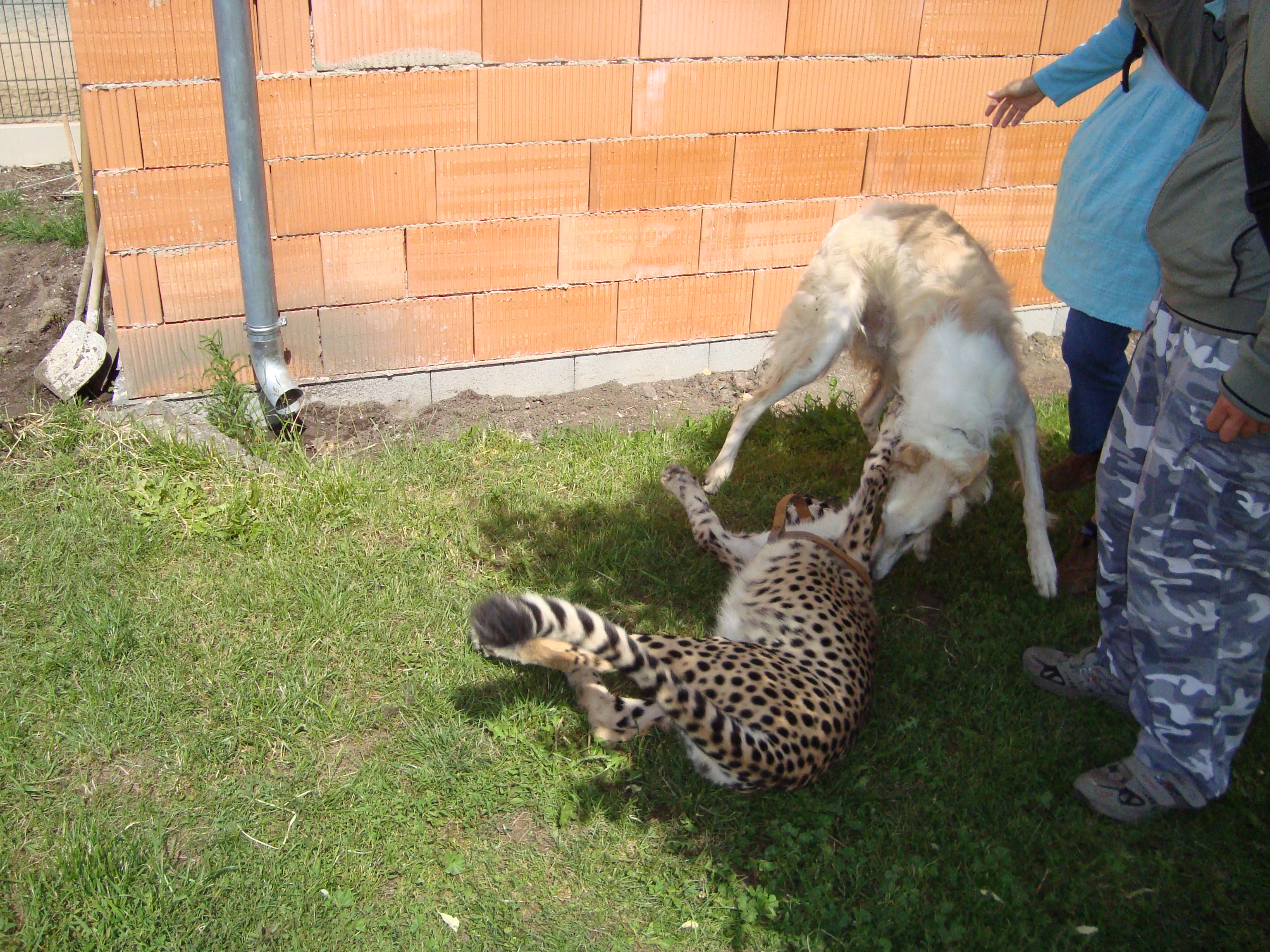 DSC00524.JPG
