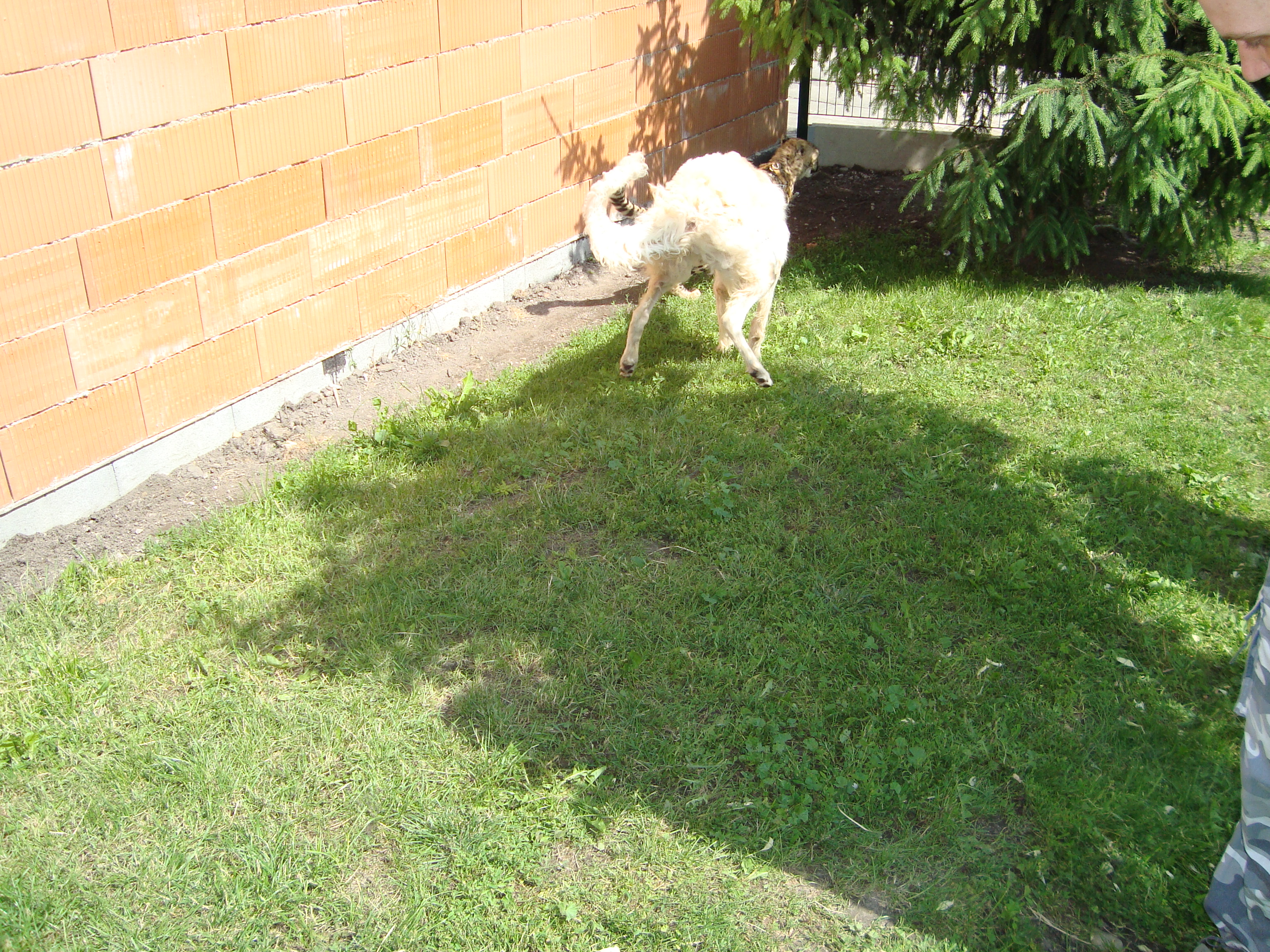DSC00525.JPG