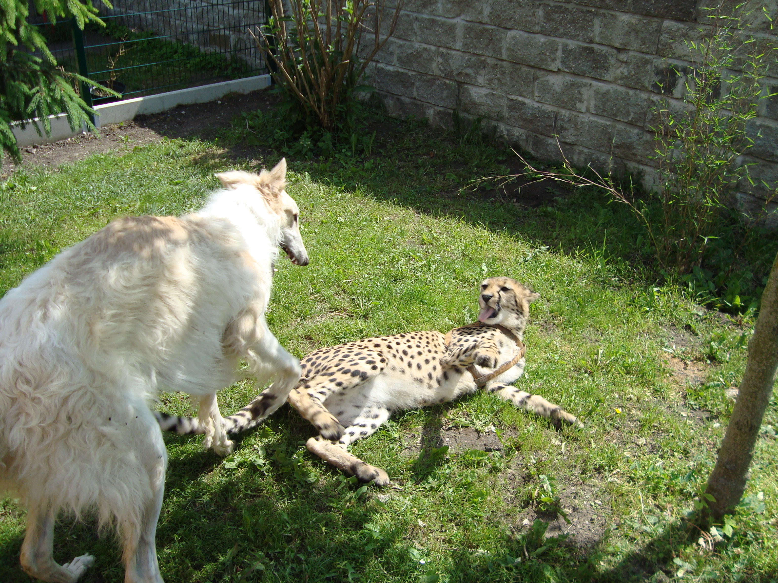DSC00527.JPG