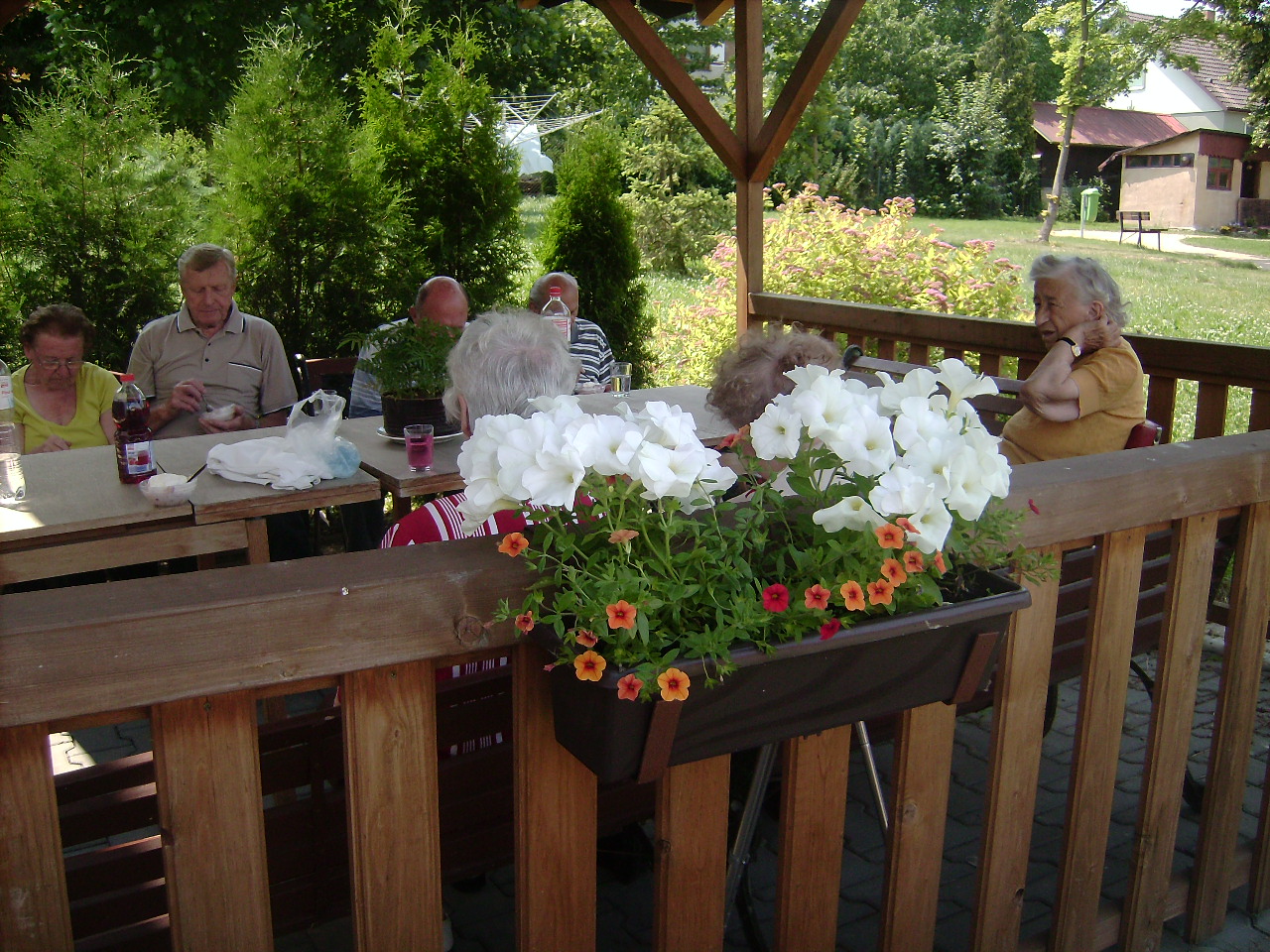 IMG_0005.JPG