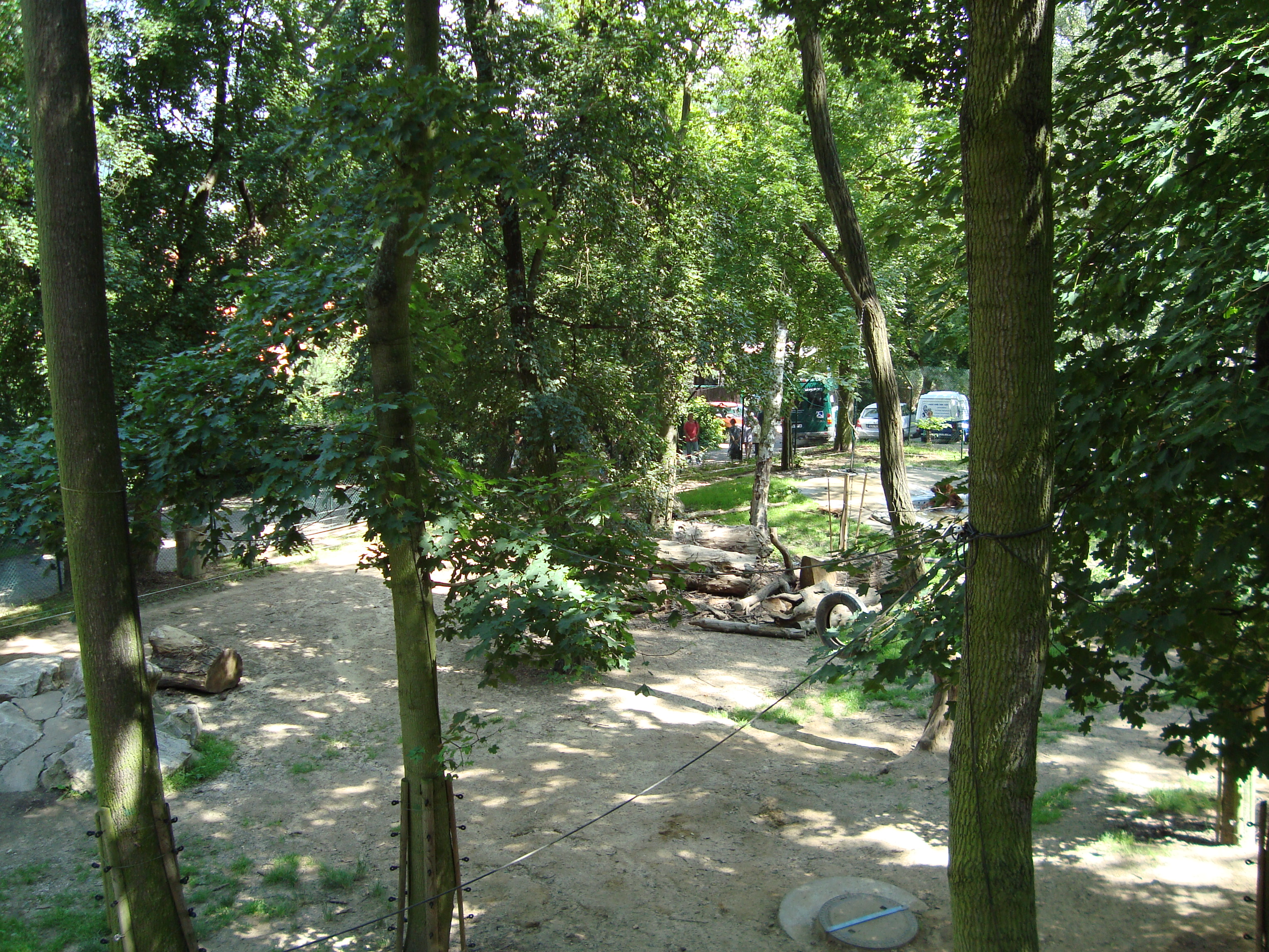 DSC01090.JPG