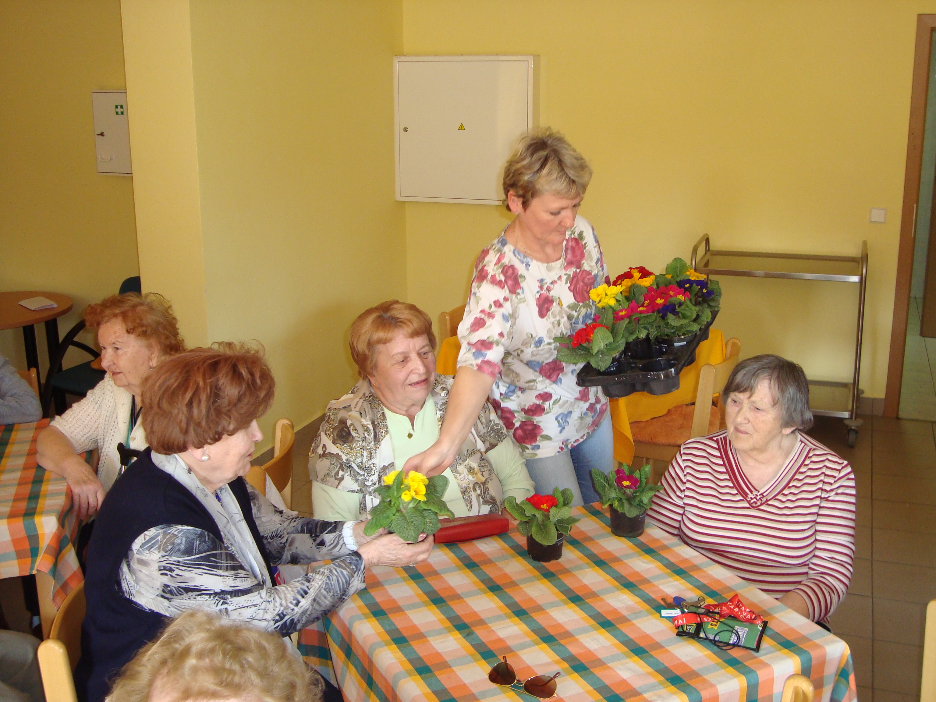 DSC05478