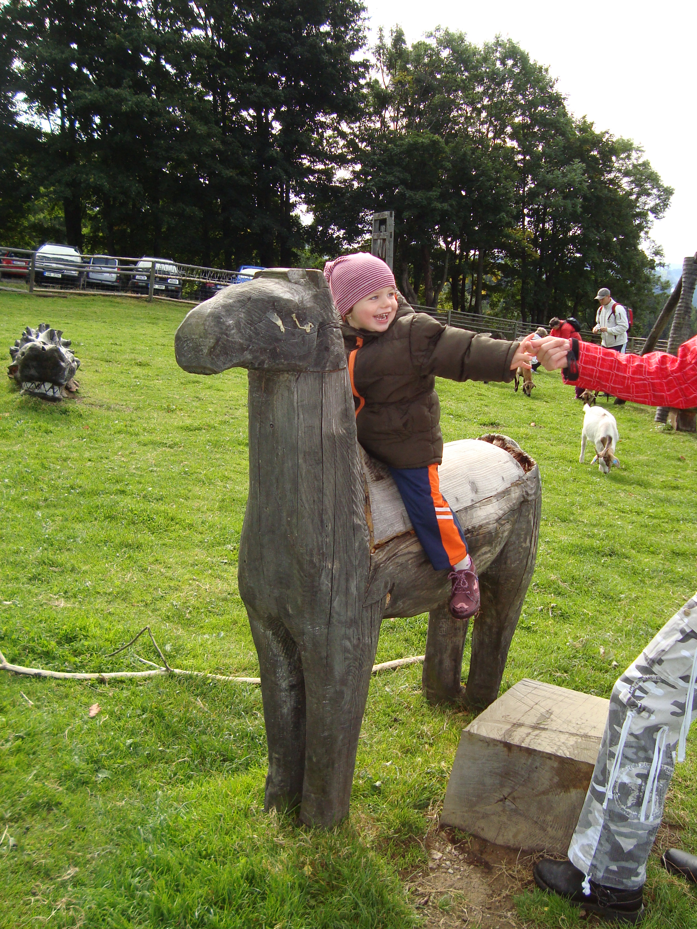 DSC06376