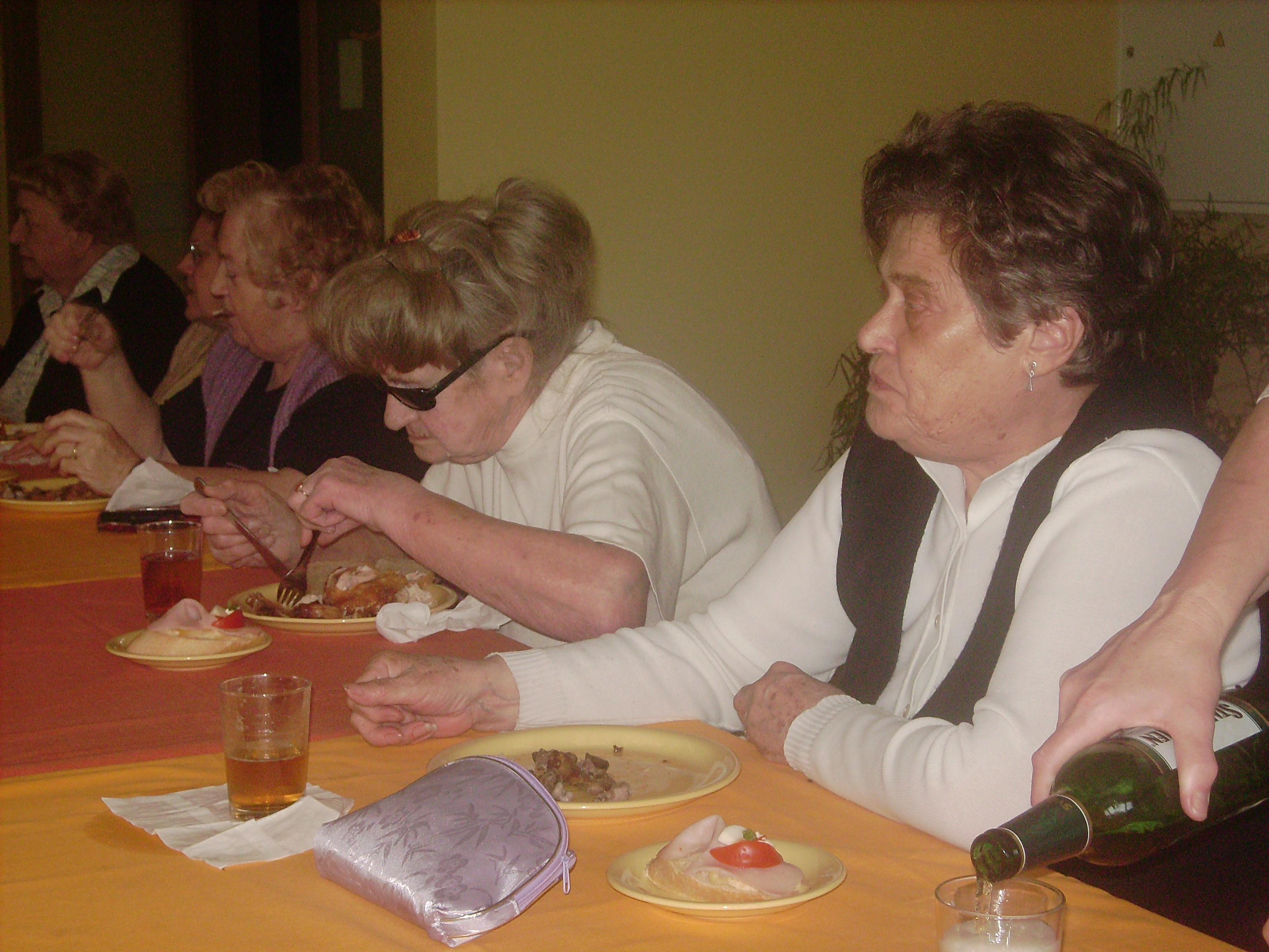 kuřata 004.jpg