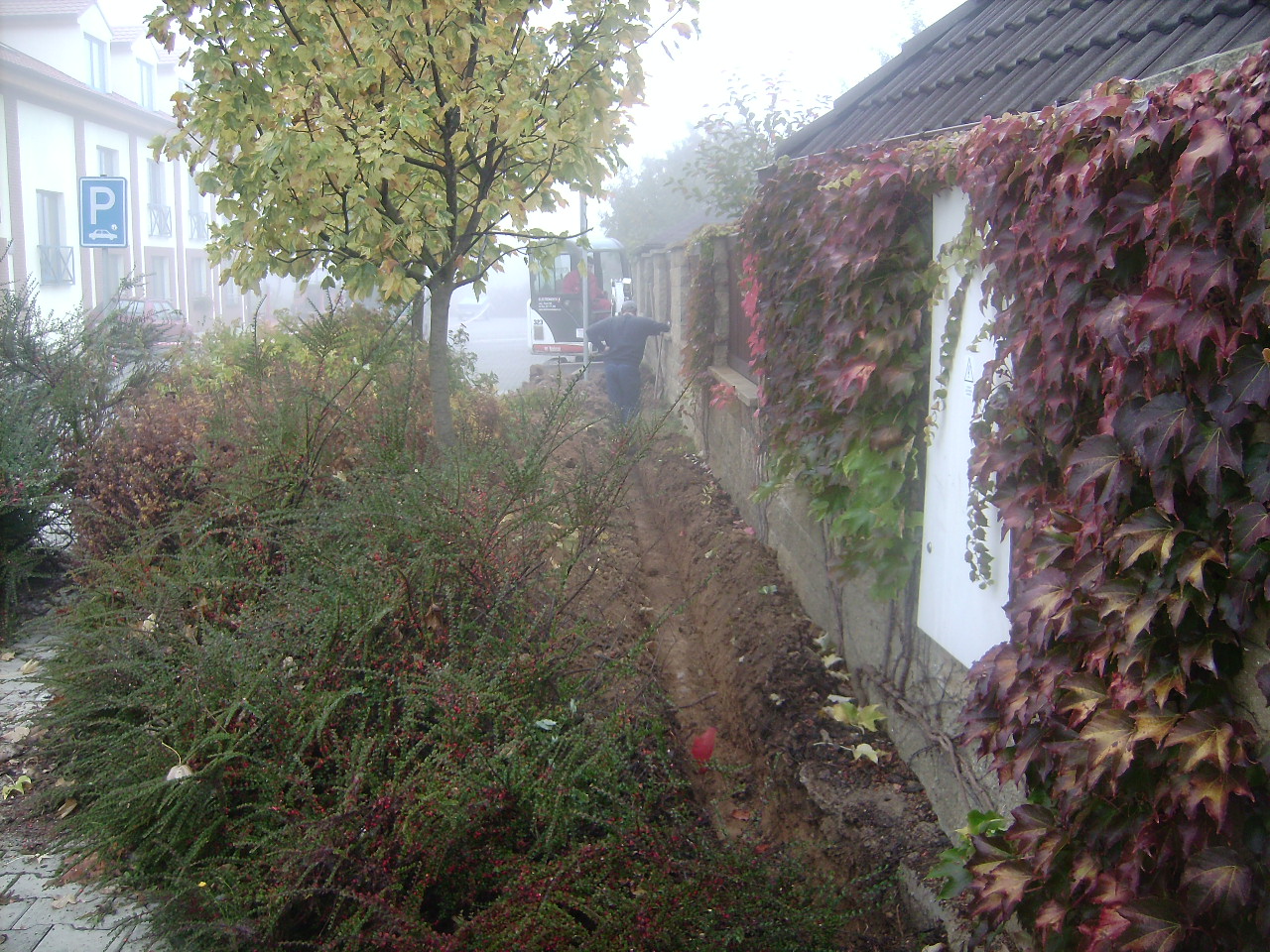 IMG_012.JPG