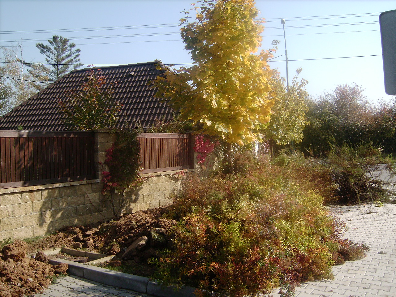 IMG_0146.JPG